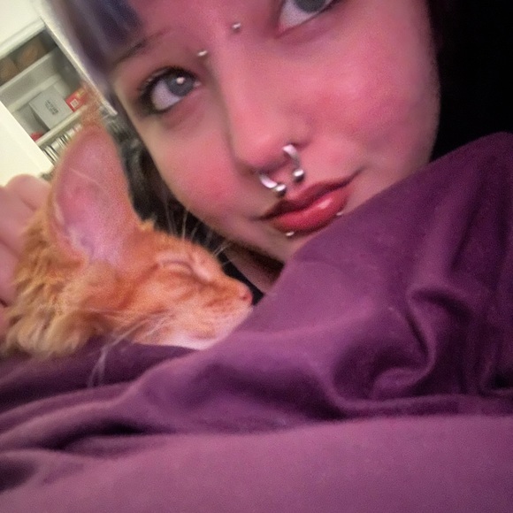 Meet your Posher, Fiona - Picture 4 of 6